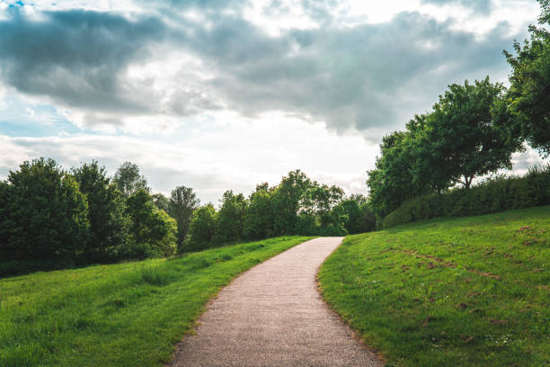 Curved Footpath in the Woods and Pasture