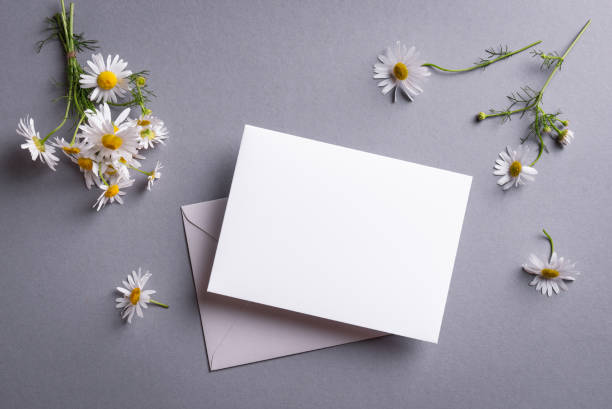 istock Blank card and daisy flowers 1410265152