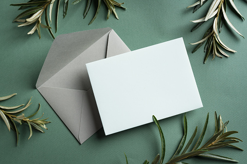 Greeting or invitation blank card and  green plant  on dark olive background. Stylish mock up, top view, copy space