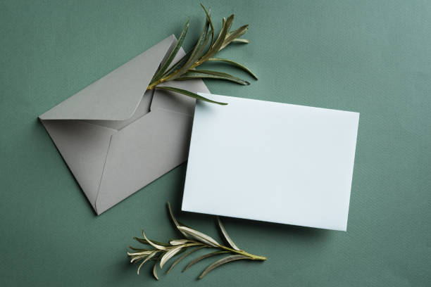 istock Blank card and green plants 1410265193