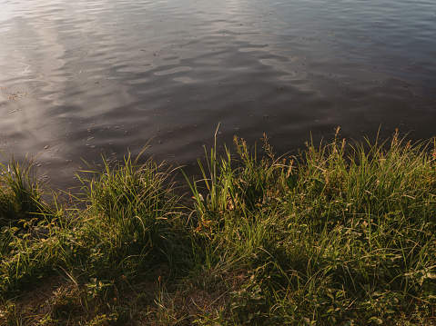 Landscape of river bank on clear summer day. Reflections of trees in water surface against blue clear sky. Natural scene of nature. Trees and plants on river shore