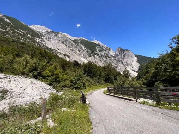 Summer in the Alps