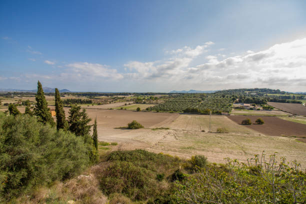 Panoramic view of landscape near Muro, Mallorca island, during October, with arid fields and mediterranean vegetation