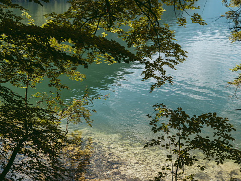 Panorama from lake alatsee in Füssen, Allgäu