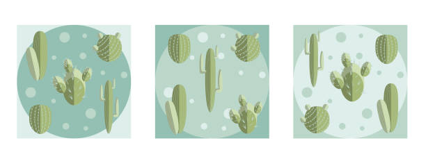 ilustraciones, imágenes clip art, dibujos animados e iconos de stock de composición del conjunto de cactus en diferentes colores de fondo - abstract backgrounds botany cactus