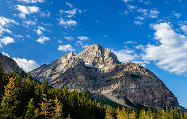 istock Cathederal Mountain Yoho National Park British Columbia Canada 1410278286