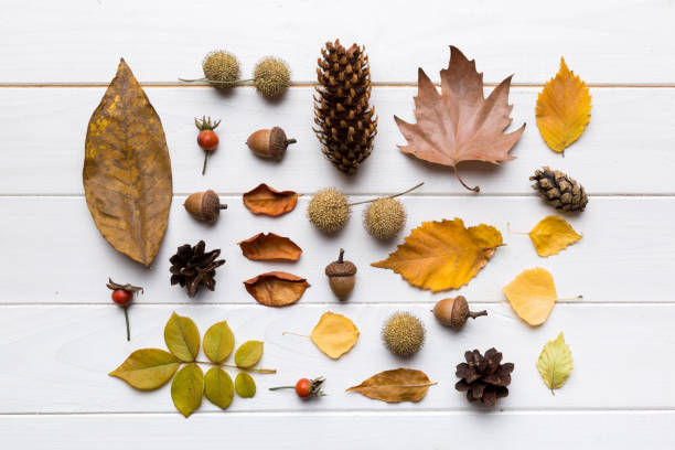 秋の構図。テーブルの上に乾燥した葉と他のデザインアクセサリーで作られたパターン。フラットレイ、上面図