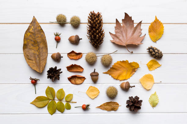 istock Autumn composition. Pattern made of dried leaves and other design accessories on table. Flat lay, top view 1410280091