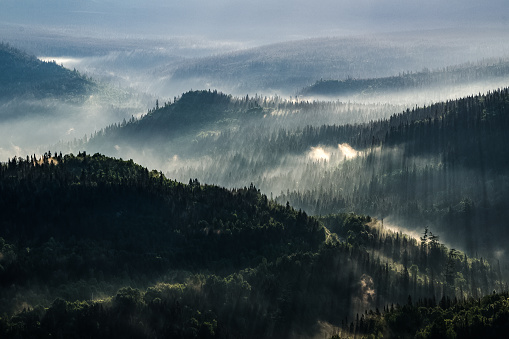 Visión general del valle a medida que sale el sol y sus rayos dorados iluminan la niebla photo