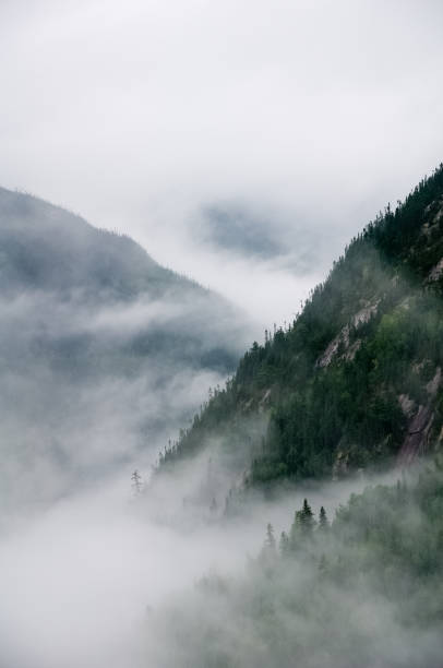 istock Fog covering the mountains surrounding the valley 1410285524