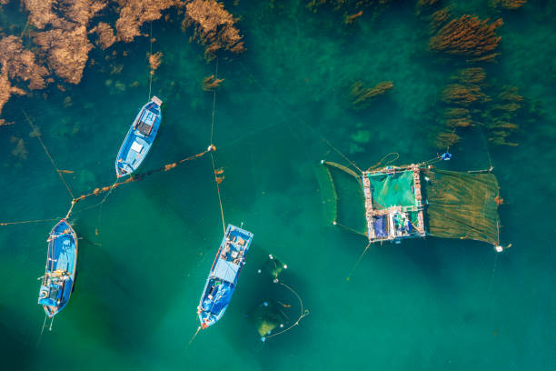 Fishing boats on Nhon Hai beach stock photo