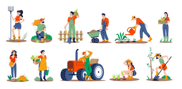 People gardening. People planting gardens flowers, agriculture gardener hobby and garden job. Man, woman gardener watering plants, trimming plants.Flat vector. Man, woman gardener watering plants, trimming plants. People work in the garden. Flat vector. agricultural occupation stock illustrations
