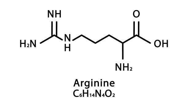 struktura molekularna argininy. wzór chemiczny szkieletu l-argininy. ilustracja wektorowa chemicznego wzoru cząsteczkowego - molecule amino acid arginine molecular structure stock illustrations
