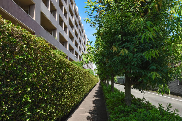 istock Trees and sidewalks in a residential area. 1410292647