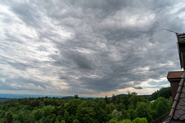 Forest areas in Germany photographed in the spring month of May