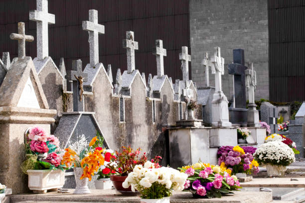 reihe von marmorkreuzen und blumen auf einem friedhof. - stone cross stock-fotos und bilder