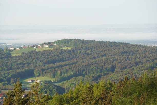 istock Forest areas in Germany photographed in the spring 1410295628
