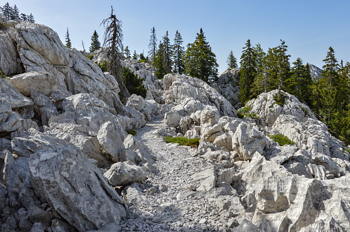 The Premužić trail starts at the Zavižan mountain refuge and ends in the village of Baške Oštarije. The trail is 57 kilometres long and it will take most hikers three to four days to complete.