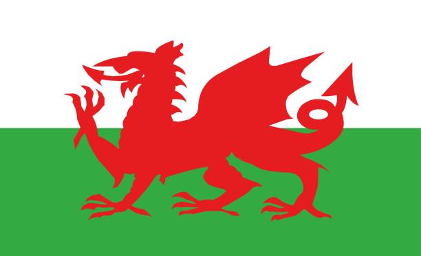 vektorillustration der flagge von wales - welsh flag stock-grafiken, -clipart, -cartoons und -symbole
