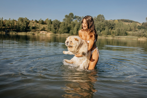 Happy dog (labrador retriever) jumping to lake in the middle of beautiful nature. Ore Mountains, Czech Republic