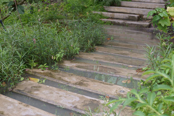 istock Precast concrete footpath in the garden 1410306993