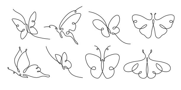 ilustrações, clipart, desenhos animados e ícones de desenho de arte da linha borboleta - fly line art insect drawing