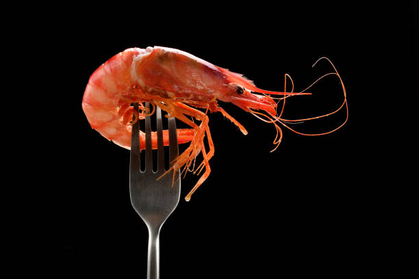 cooked red shrimp on fork isolated on black background stock photo