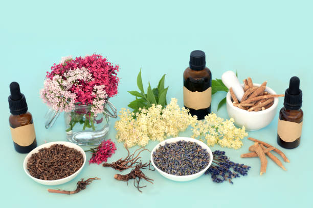 istock Herbal Flower Remedy for Stress Reducing Naturopathic Healing 1410312319