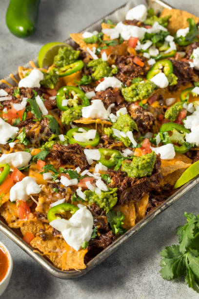 istock Homemade Mexican Shredded Beef Nachos 1410313189