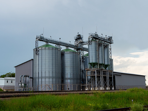 Flat bottom aluminum silos for grain storage. Grain elevator. Food crisis.