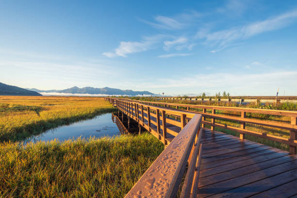 istock Potter Marsh Bird Sanctuary, Alaska 1410320051