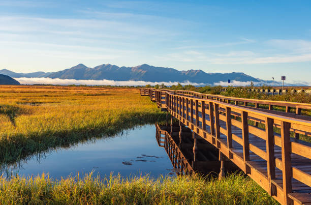 Potter Marsh Bird Sanctuary, Alaska