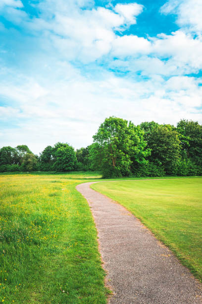 istock Curved Footpath in the Woods and Pasture 1410321243