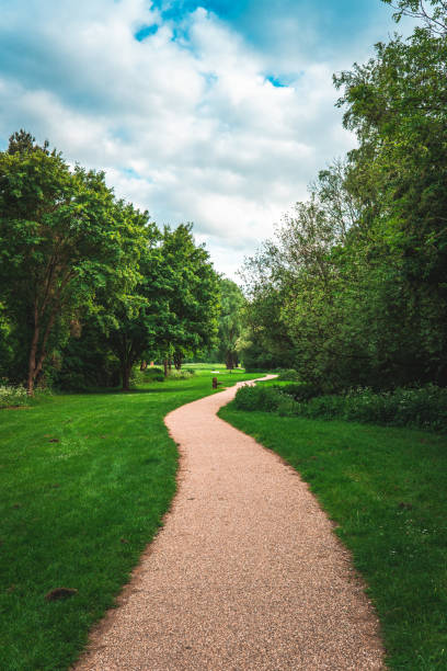 istock Curved Footpath in the Woods and Pasture 1410321249