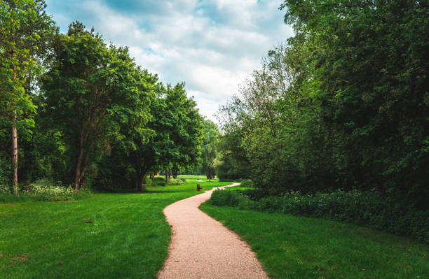 istock Curved Footpath in the Woods and Pasture 1410321250