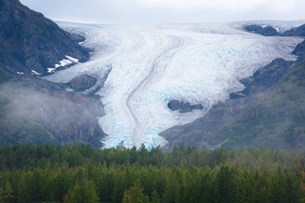 Exit Glacier , Kenai Fjords national Park near Seward , Alaska