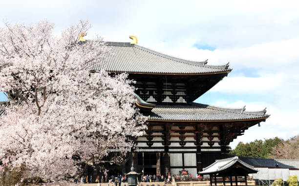 Todaiji Temple (Great Eastern Temple), one of the powerful Seven Great Temple, Nara, Japan Todaiji Temple (Great Eastern Temple), one of the powerful Seven Great Temple, Nara, Japan. UNESCO world heritage site nsra stock pictures, royalty-free photos & images