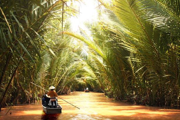 People boating in the delta of Mekong river, Vietnam People boating in the delta of Mekong river, Vietnam, Asia. A tourist attraction - boat ride through Mekong delta canals mekong river stock pictures, royalty-free photos & images