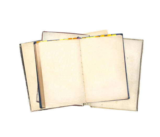 istock Old open books with empty pages. Opened vintage book with blank page. Isolated on white background 1410323033