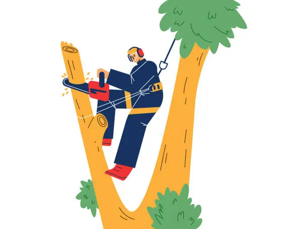Vector illustration of Gardener workman trimming huge trees flat cartoon vector illustration isolated.
