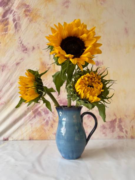 istock Vincent Van Gogh Three sunflowers 1410326171