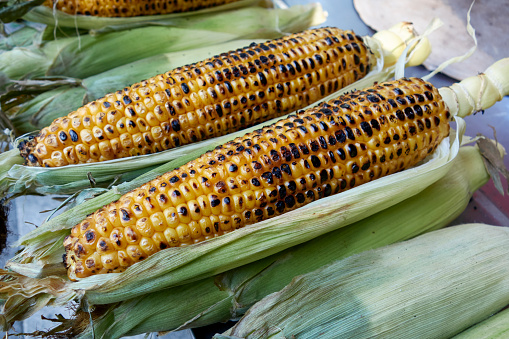Organic Grilled Corn on the Cob Ready to Eat