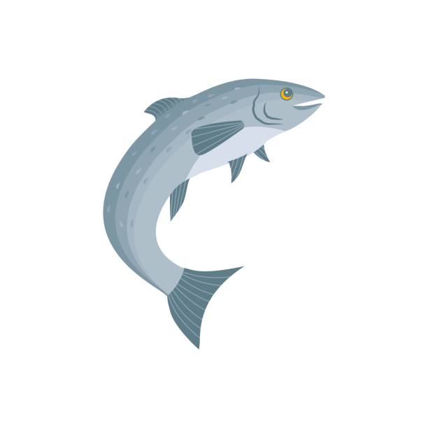 연어 디자인 일러스트레이션, 벡터. 흰색 배경에 고립 된 연어 - wild water illustrations stock illustrations