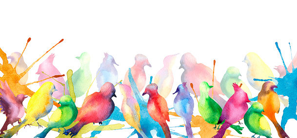 Colorful birds silhouette banner watercolor illustration white background. Bright bird outline, watercolor splash hand painted. Design element for greeting cards, fabric, wrapping, scrapbooking, textile