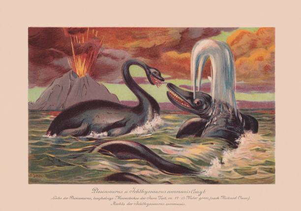 ilustrações, clipart, desenhos animados e ícones de plesiossauro e ictiossauro communis, cromoolithograph, publicado em 1900 - extinto