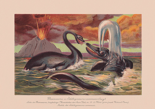 Plesiosaurus (Triassic to Cretaceous) and Ichthyosaurus communis (Early Jurassic.). Chromolithograph after a drawing by F. John published in 1900.