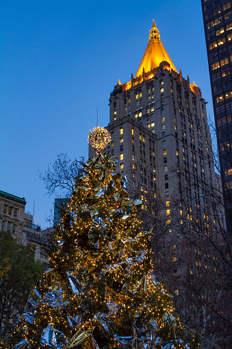 New York, NY - December 15 2021: Outdoor Christmas tree in Madison Square Park in New York City