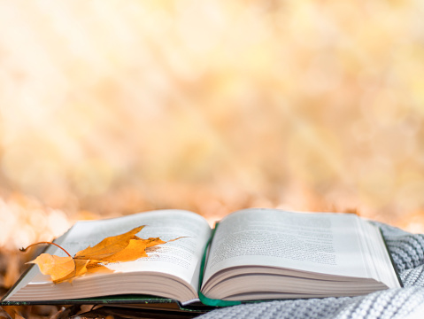 autumn, the book lies on a warm scarf against the background of yellow foliage of trees, selective focus.