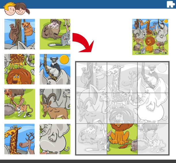ilustrações, clipart, desenhos animados e ícones de jigsaw tarefa quebra-cabeça com personagens animais selvagens desenho animado - bilby