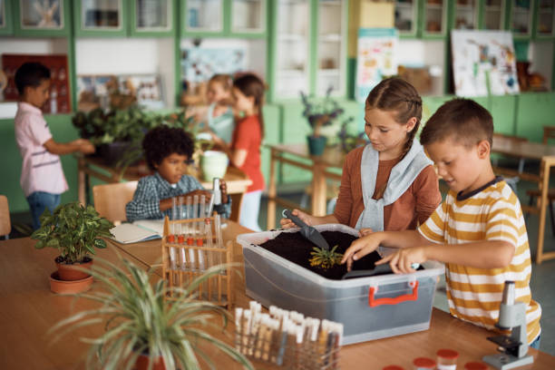 istock Plant and botany activities at elementary school! 1410337590